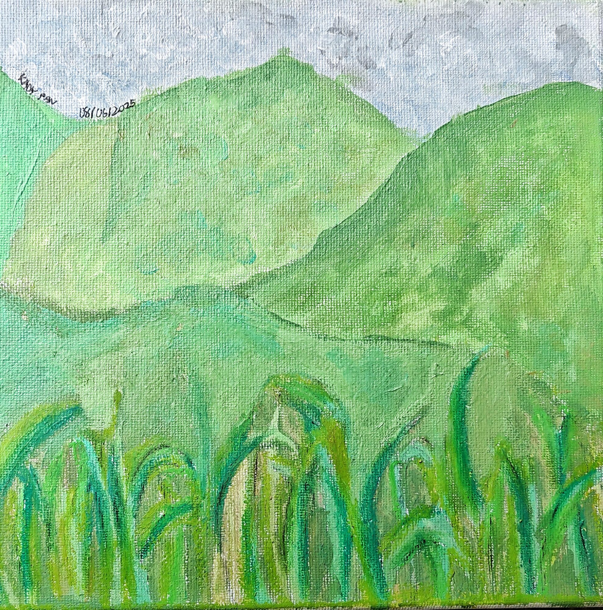 Untitled, 2025,Acrylic on canvas, 50 × 50 cm